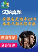 安徽省蕪湖市2010屆高三期末聯(lián)考數(shù)學試卷及答案(文)